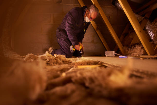 Best Eco-Friendly or Green Insulation Solutions  in Bangor, ME